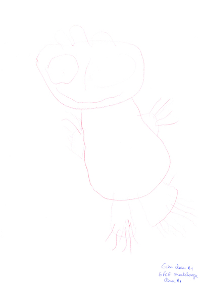 Carnaval de Martelange, Evenements en photos I Tirage au sort du concours de dessins 2021