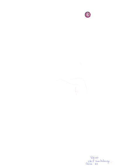 Carnaval de Martelange, Evenements en photos I Tirage au sort du concours de dessins 2021