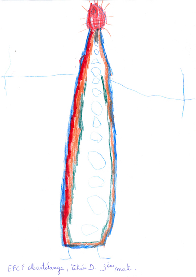 Carnaval de Martelange, Evenements en photos I Tirage au sort du concours de dessins 2021