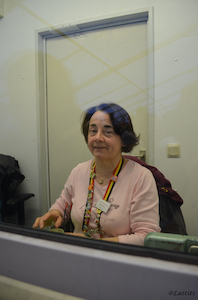 Carnaval de Martelange, Présentation du Comité Carnaval